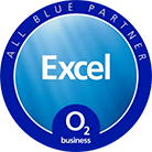 All Blue Excel Partner Shield