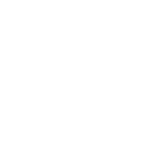 LinkedIn Icon